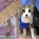 하니동물병원 이미지