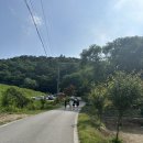 대전 근교 카페 엔학고레 후기(주차, 자리 꿀팁) 🌱