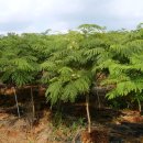 송연농장 이미지