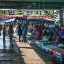 시장복어 이미지