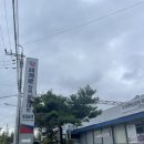 세계로정육할인마트 이미지