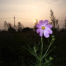 동산 노래연습장 이미지