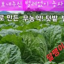 무농약 살충제 만드는 비용 50원#텃밭 무농약 살충제#무농약 살충제 제조방법#무농약 배추 벌레약#농사유튜브 이미지