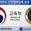 위그살롱