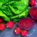 디엘의원 이미지