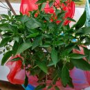 금산흥농 이미지