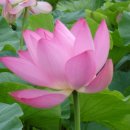 어머니의 마음 이미지