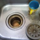 초정마을 동아아파트 앞 이미지