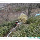 모노곤 Daum카페