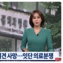 아이사랑동물병원 이미지