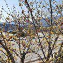 전원시대공인중개사사무소 이미지