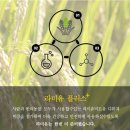 미강미트 | [미트유] 연말연시 디퓨져 선물세트 🎁 (반려동물있는가정 사용가능!!)