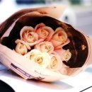 달,하나 티스토리