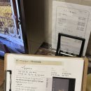 타이엔 아로마스토리 | 대구 압이 들어가는 아로마마사지 PT스토리&amp;테라피 여성전용