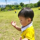 다온숲어린이집 이미지