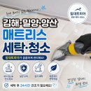 고운 세탁 | 김해 밀양 양산 매트리스 세탁 청소 침대토피아 관리 후기