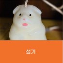 햄스터 다락방 이미지