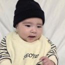 보드럽