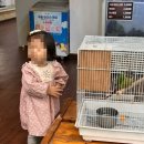 센트럴 곤충생태농장 이미지