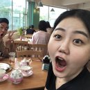 돈돌이생막창 이미지