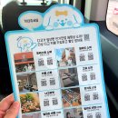 다낭 렌트카 팁 16인승 추천 알찼던 디고투어 후기