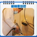 홍의원 이미지