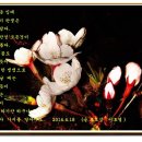 효열초등학교 이미지