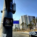 고촌농로 이미지