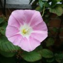 고강본동 주민센터 이미지