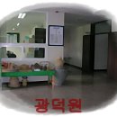 광덕원 이미지
