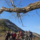 불암산(다온대장님 )12/4일 이미지