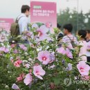 나라꽃 무궁화 전국축제 서울 광화문서 '팡파르' 이미지