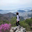 진흥사 | 창원 진해 장복산 등산 - 4월 경남 등산 장복산 벚꽃 진달래 봄 등산코스