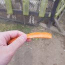 재석농장 이미지