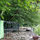 영하네민박 이미지