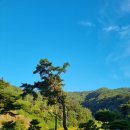 류헤어 | 포천 포레스트힐 cc(hill &amp; rock) 골프장 새벽 라운딩 후기