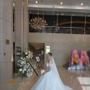 헤어바이현(HairbyHyun | W16 안산AW컨벤션 그랜드볼룸홀 본식 후기