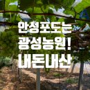 광성농원