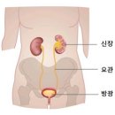 욘가 이미지