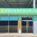 법인산지유통