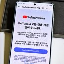 프리미엄