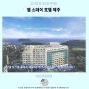 제주엠 | 엠스테이 호텔 제주 후기 서귀포 가성비 숙소 추천