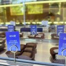 Cacao Basket(카카오 바스켓)