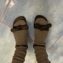 Wish | 4월 Wish + 후기 (리즈,르플레인,온드민,릴리코츠,베르니,페이보릿띵스,타낫)