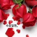 🌹8월 30일 수요일 출석부🌹 이미지