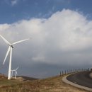 웰컴투목장 이미지