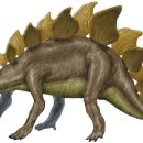 답십리초교병설유치원 이미지