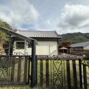 수동 편백나무집 이미지