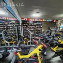 웰 휘트니스 이미지