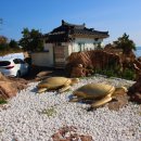 부흥해수욕장 이미지